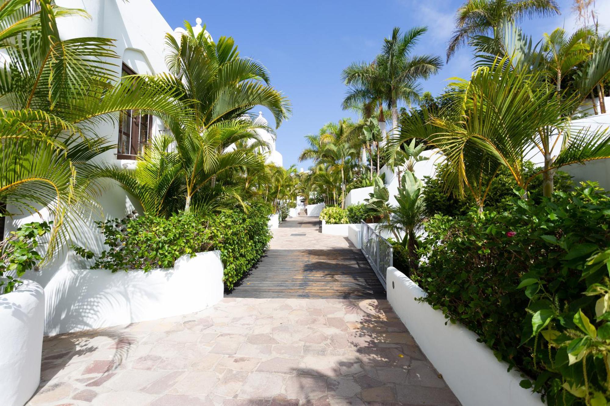 אדחה The Paradise Suites By Anne, Charm Apartment In Adeje מראה חיצוני תמונה